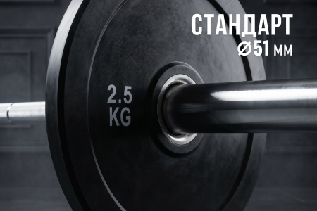 Диск бамперный 51 мм. обрезиненный  2,5 кг (2 штуки)   VictoryFit VF-D51025-2