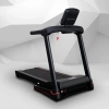
            Электрическая беговая дорожка Everyfit 74610B        