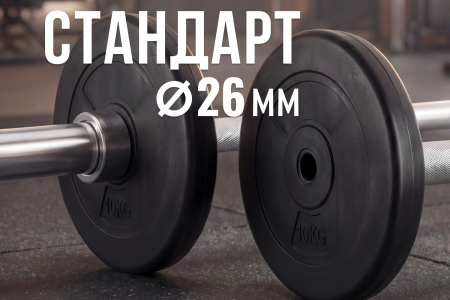 Диск 26 мм. пластиковый 10 кг (2 штуки)   VictoryFit VF-SPL26100-2
