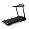 
            Электрическая беговая дорожка Everyfit 74305B        